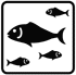 ACQUARIO