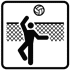 PALLAVOLO